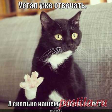 Мой Мир@Mail.Ru