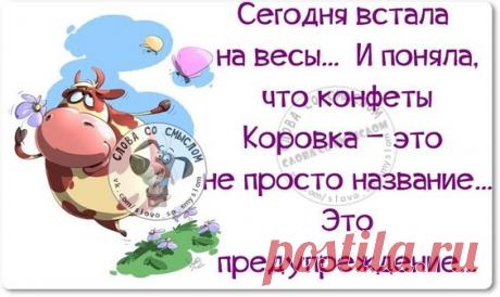 Картинки с юмором: прикольные надписи и фразы | В темпі життя