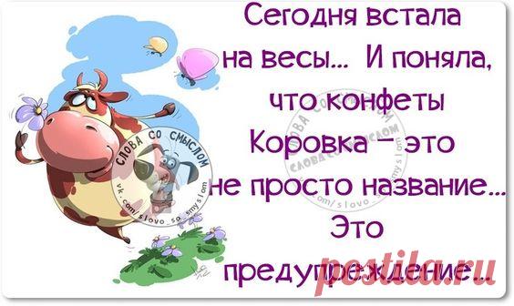 Картинки с юмором: прикольные надписи и фразы | В темпі життя