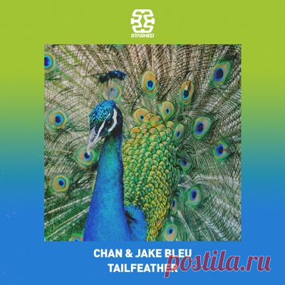 CHAN (US), Jake Bleu – Tailfeather