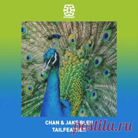 CHAN (US), Jake Bleu – Tailfeather