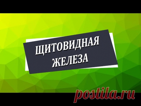 Щитовидная железа [Николай Пейчев, Академия Целителей]