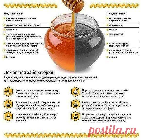 Всё о мёде