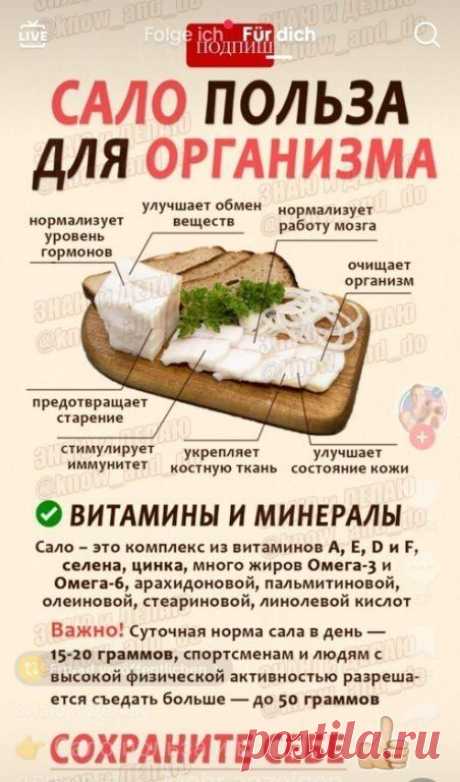 ВИТАМИНЫ И МИНЕРАЛЫ В САЛЕ