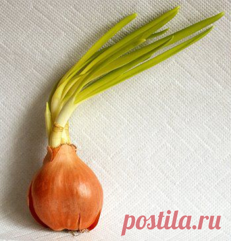 (1) Одноклассники