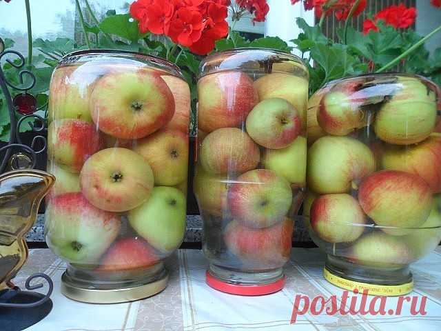Яблоки мочёные - самый простой рецепт.