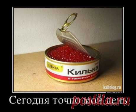 анекдоты из Одессы(.МОЯ подборочка )про посрать и пожрать)