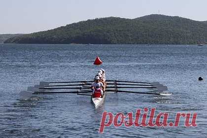 Сборная России вместе с иностранными гребцами приняла участие в регате. Сборные по академической гребле от России, Китая, Узбекистана и Белоруссии приняли участие в международной регате, которая прошла во Владивостоке в рамках спортивной программы VII Восточного экономического форума (ВЭФ). Об этом в пятницу, 9 сентября, «Ленте.ру» сообщили организаторы.