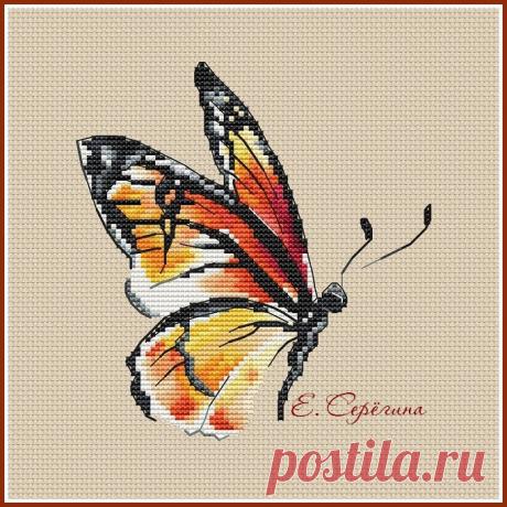 в/к Бабочка - шоколадница