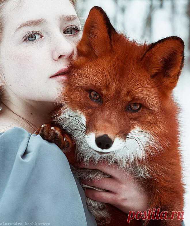 Рыжие девушки и лисицы: фотографии Alexandra Bochkareva