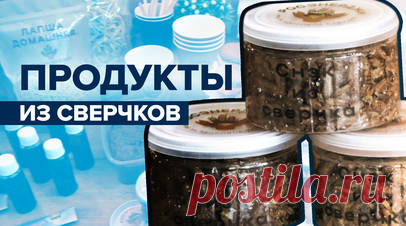 Еда будущего: на Ставрополье производят продукты питания из сверчков. Компания «РосЭнерджи» на Ставрополье производит продукты питания из сверчков. Руководитель проекта рассказал Ruptly, что такая еда богата белком, кальцием, магнием и аминокислотами. Из сверчковой муки можно сделать лапшу, кондитерские изделия и выпечку. О том, как выращивают и готовят насекомых, — в видео RT. Читать далее