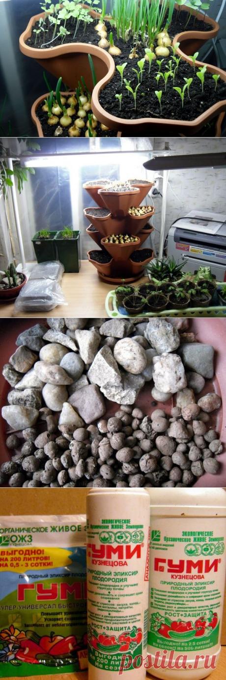 10 секретов домашнего огорода / домашний огород / 7dach.ru