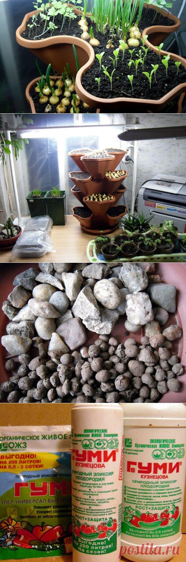 10 секретов домашнего огорода / домашний огород / 7dach.ru