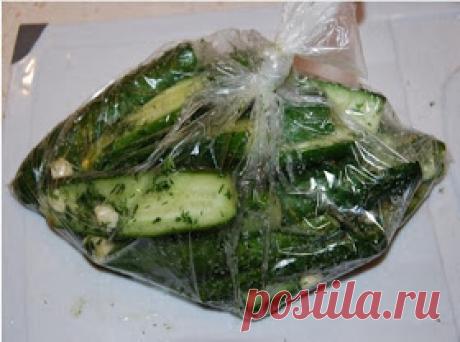 Самые вкусные рецепты: Рецепт малосольных огурцов в целлофановом пакете
