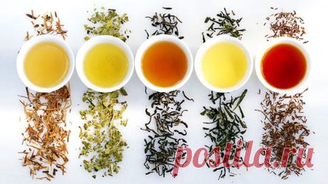 Tutorial para hacer té kombucha - Bebida probiótica