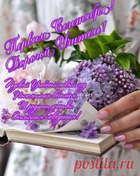 Дорогие наши учителя,
Вы снова нас встречаете улыбкой,
И в этот светлый день календаря
Открыла школа двери всем привычно!