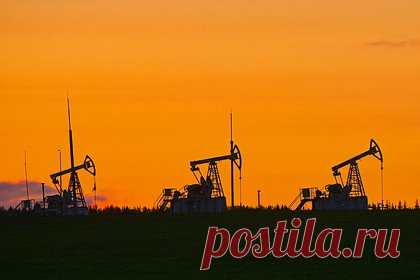 Китай ответил на угрозы Трампа из-за покупки российской нефти