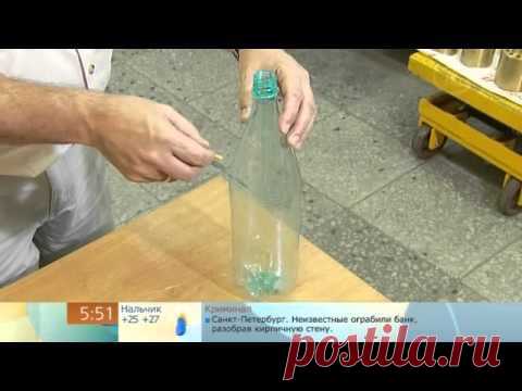 мышеловка из бутылки