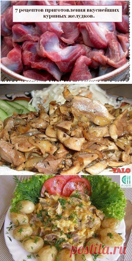 7 рецептов приготовления вкуснейших куриных желудков.
