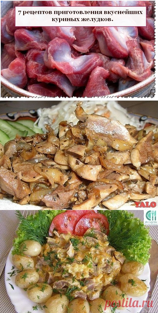 7 рецептов приготовления вкуснейших куриных желудков.