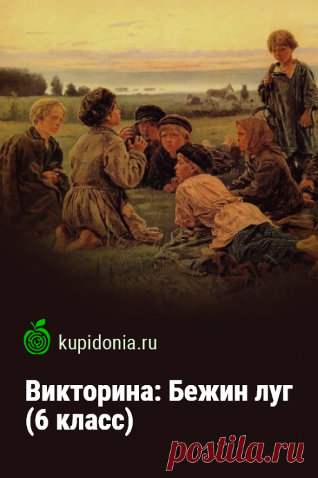 Викторина: Бежин луг (6 класс). Тест по рассказу Тургенева «Бежин луг»для 6 класса. Школьная программа. Проверь свои знания!