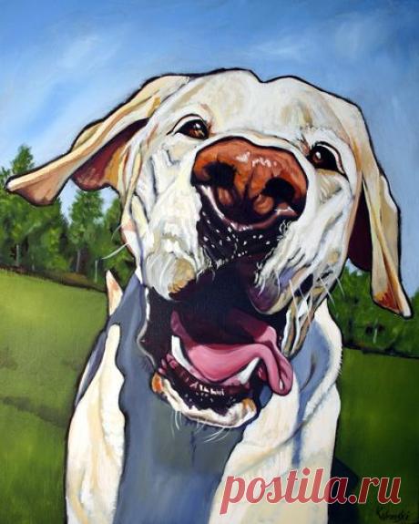 Ringo. I love Kathryn Wronski's bold pet portraits. See more by clicking Ringo's picture. | Illustration inspiration
