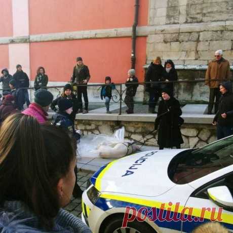 Скандал в Словении (3 фото) - В центре Любляны, Словения, прохожие стали свидетелями неприятной сцены: 25-летняя барышня волокла по улице дохлую свинью в знак протеста против потребления мяса. Словенское веганское общество поспешило откреститься от неадекватной гражданки, заявив, что это не их методы.