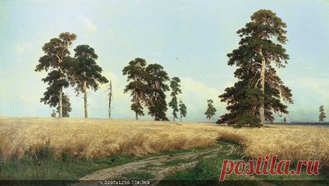 Художник И.Шишкин - 19 фото. Фотографии Ольга Дудина.