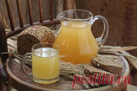 Как готовят квас кубанские казачки, лучшие рецепты
