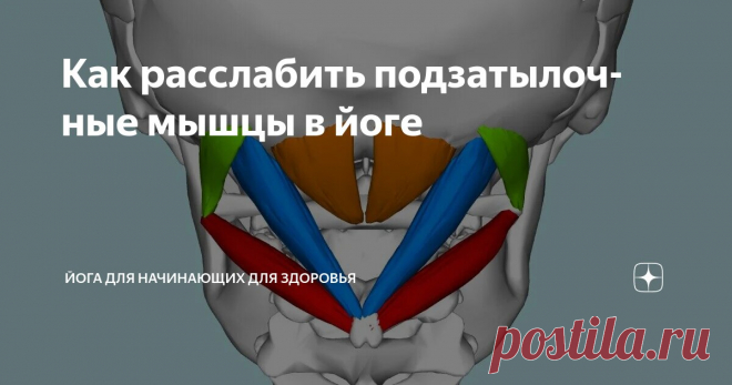 Как расслабить подзатылочные мышцы в йоге Статья автора «Йога для начинающих для здоровья» в Дзене ✍:  Подзатылочные мышцы — это группа мышц, расположенных за шеей. Эти мышцы находятся под нижней частью спины черепа.