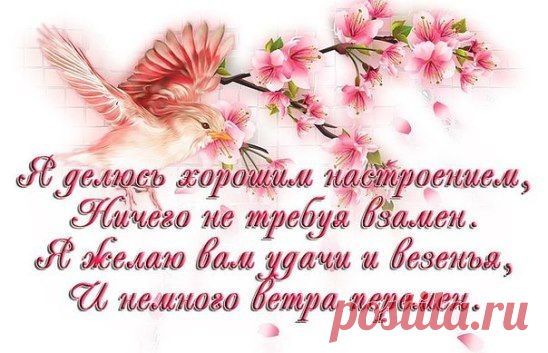 (91) Одноклассники