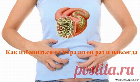 Как избавиться от паразитов раз и навсегда?