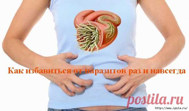 Как избавиться от паразитов раз и навсегда?