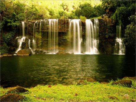 Весеннее солнце подарит тепло!&amp;#4326;&amp;#9835;&amp;#4326; ~ Плэйкасты ~ Beesona.Ru