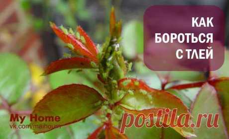 Татьяна Дворецкая