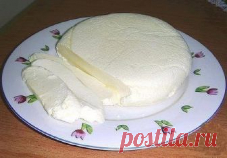 Простой в приготовлении и вкусный «Домашний сыр» - Info-paper