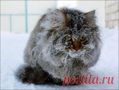 А ТЫ ОПЯТЬ СЕГОДНЯ НЕ ПРИШЛА.....ВЕСНА....