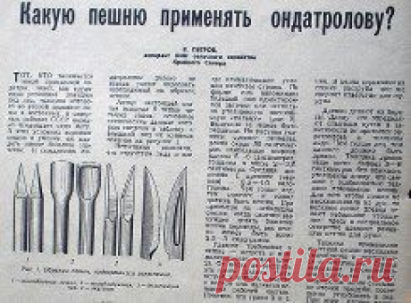 КАКАЯ ПЕШНЯ ЛУЧШЕ?
 Литература: журнал &quot;Охота и охотничье хозяйство&quot;, 1965 г, №4
СОХРАНИТЬУстановить себе