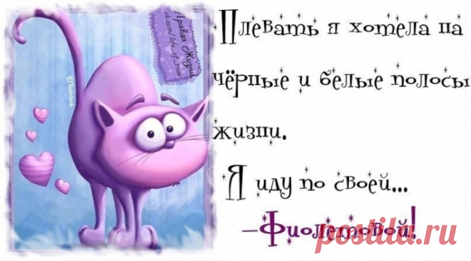 ПОЗИТИВ НА ДУШЕ И КУРАЖ!