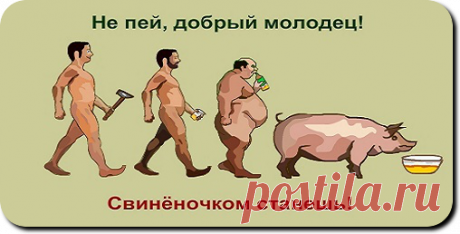 Пьянство и алкоголизм- дорога в никуда
