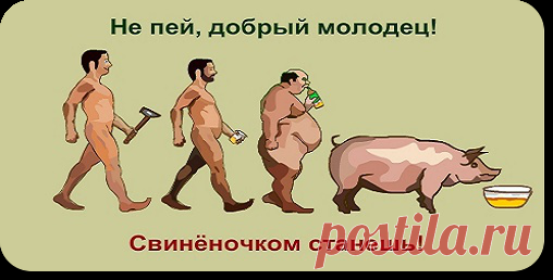 Пьянство и алкоголизм- дорога в никуда