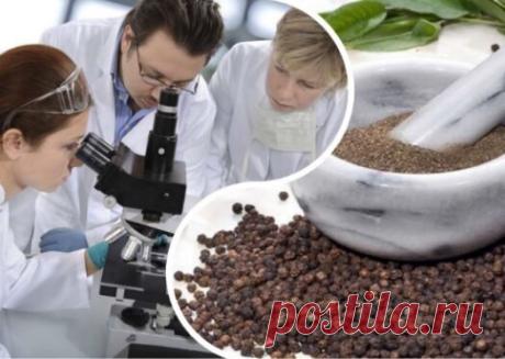 Превосходные свойства черного перца