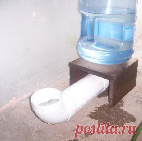 Cómo hacer un dispensador de agua para mascotas - Paperblog