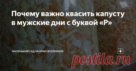 Почему важно квасить капусту в мужские дни с буквой «Р» В эти дни капуста получается всем на зависть. Их два.
