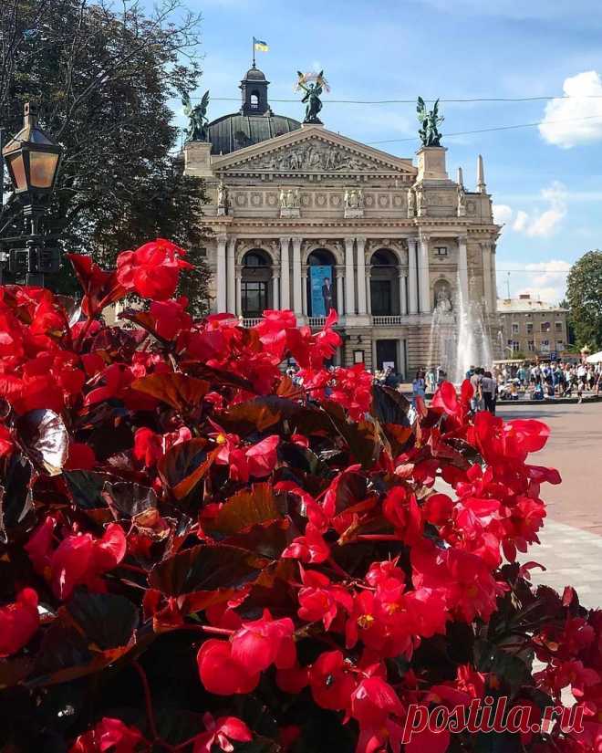 Украина, Львов