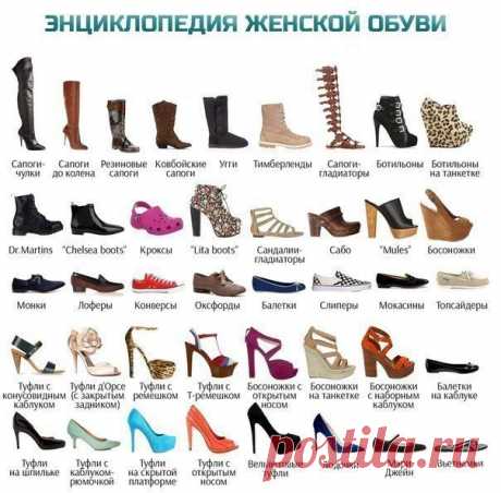 Энциклопедия женской обуви