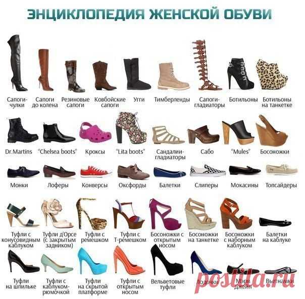 Энциклопедия женской обуви