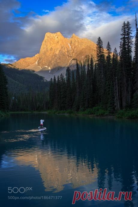 Superb Nature : Photo