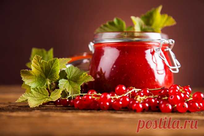 Как приготовить желе из красной смородины без желатина