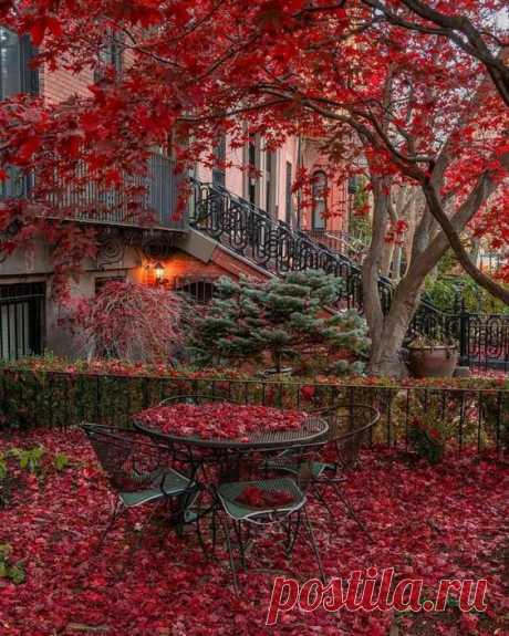 Pinterest